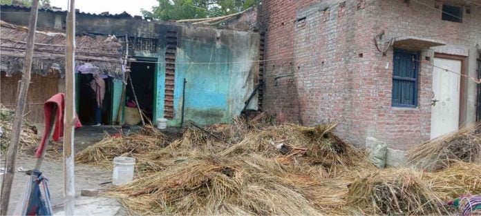 Two goats scorched due to fire in Madha, one died